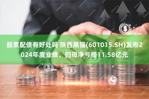 股票配债有好处吗 陕西黑猫(601015.SH)发布2024年度业绩，归母净亏损11.58亿元