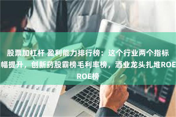 股票加杠杆 盈利能力排行榜：这个行业两个指标大幅提升，创新药股霸榜毛利率榜，酒业龙头扎堆ROE榜