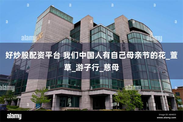 好炒股配资平台 我们中国人有自己母亲节的花_萱草_游子行_慈母
