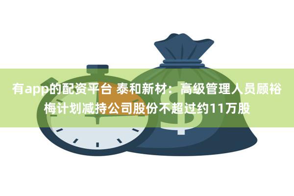 有app的配资平台 泰和新材：高级管理人员顾裕梅计划减持公司股份不超过约11万股