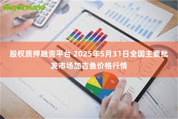股权质押融资平台 2025年5月31日全国主要批发市场加吉鱼价格行情