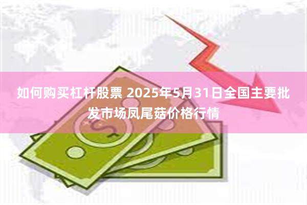 如何购买杠杆股票 2025年5月31日全国主要批发市场凤尾菇价格行情