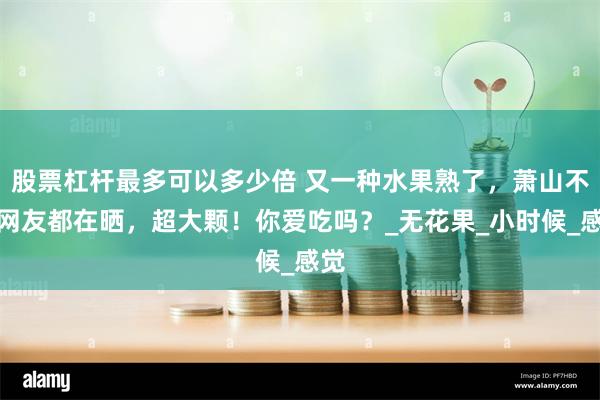 股票杠杆最多可以多少倍 又一种水果熟了，萧山不少网友都在晒，超大颗！你爱吃吗？_无花果_小时候_感觉