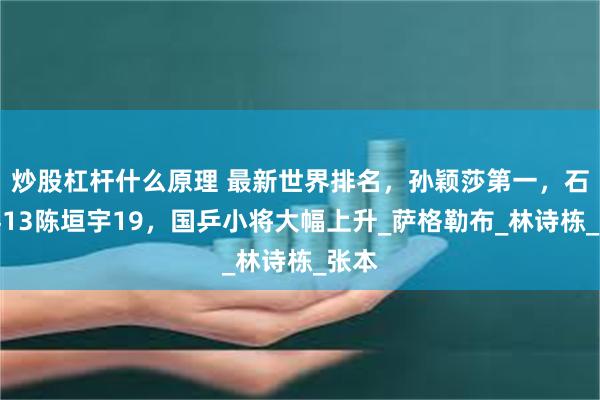 炒股杠杆什么原理 最新世界排名，孙颖莎第一，石洵瑶13陈垣宇19，国乒小将大幅上升_萨格勒布_林诗栋_张本