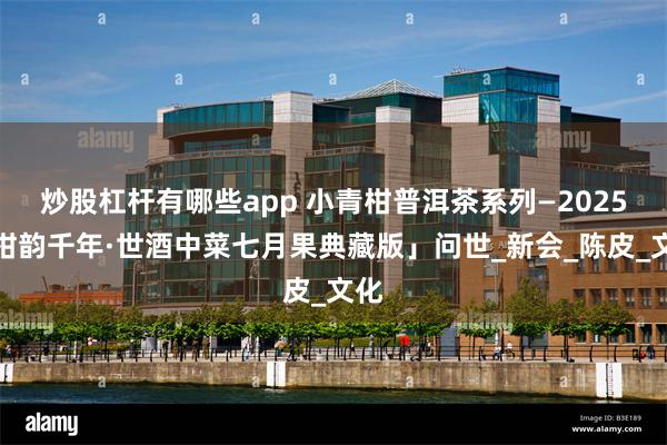炒股杠杆有哪些app 小青柑普洱茶系列—2025「柑韵千年·世酒中菜七月果典藏版」问世_新会_陈皮_文化