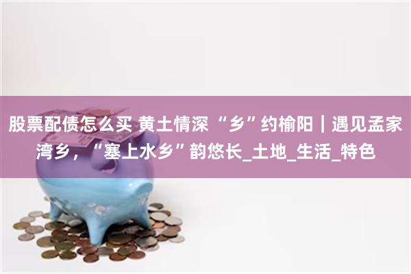 股票配债怎么买 黄土情深 “乡”约榆阳｜遇见孟家湾乡，“塞上水乡”韵悠长_土地_生活_特色