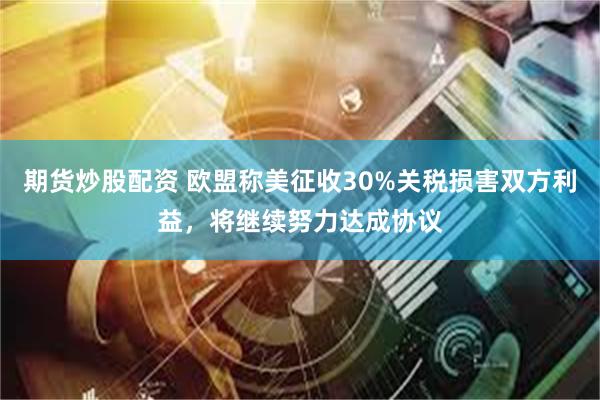 期货炒股配资 欧盟称美征收30%关税损害双方利益，将继续努力达成协议