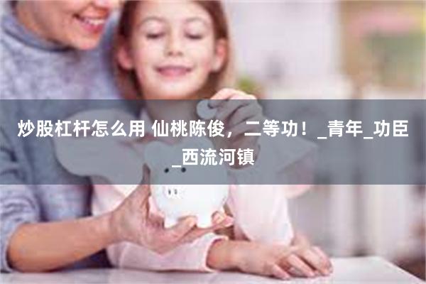 炒股杠杆怎么用 仙桃陈俊，二等功！_青年_功臣_西流河镇