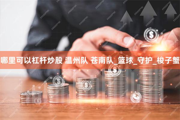 哪里可以杠杆炒股 温州队 苍南队_篮球_守护_梭子蟹
